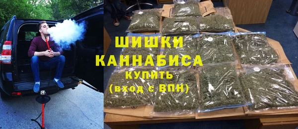 гидра Бородино