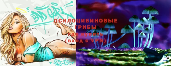МДПВ Бронницы
