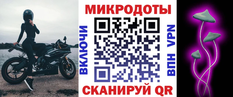 Галлюциногенные грибы Psilocybe  Мончегорск 