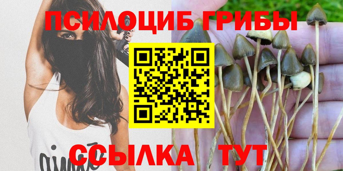 Мончегорск  Галлюциногенные грибы Magic Shrooms  закладки  Вход с VPN  Галлюциногенные грибы GOLDEN TEACHER 
